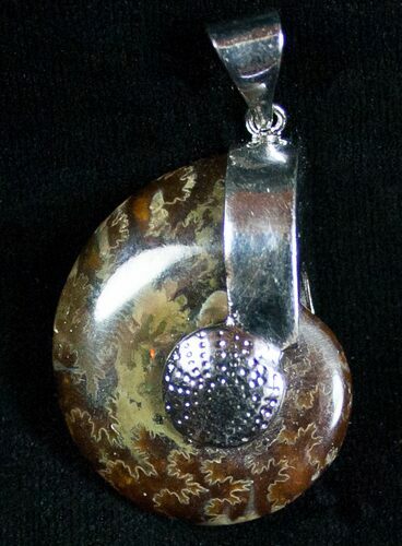 Beautiful Polished Ammonite Fossil Pendant #6820